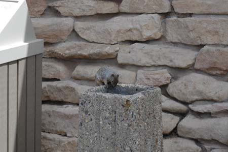 Grand Canyon - 03